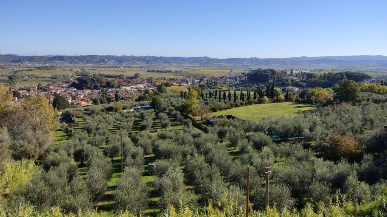Holiday House I Colli Pisani Apartman Capannoli Kültér fotó