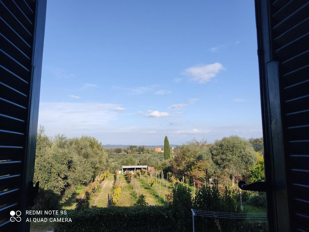 Holiday House I Colli Pisani Apartman Capannoli Kültér fotó