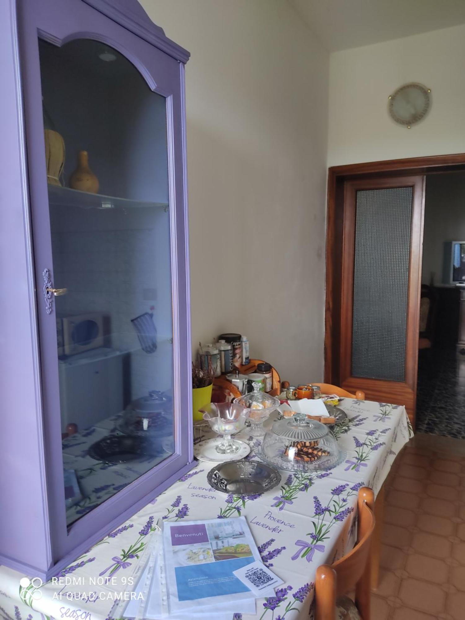 Holiday House I Colli Pisani Apartman Capannoli Kültér fotó